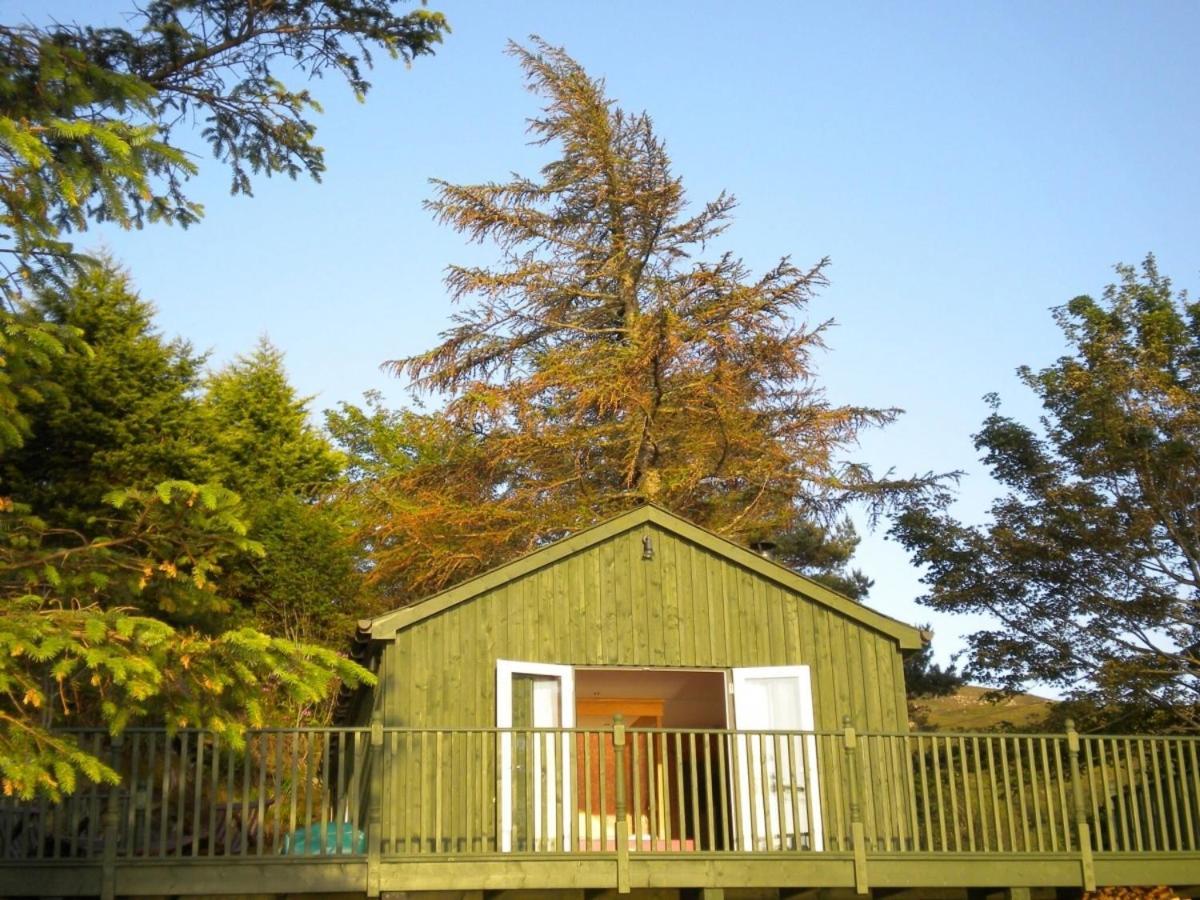 The Green House Glenelg Exterior photo